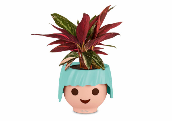 PLAYMOBIL Lechuza Γλάστρα Ojo Aquamarine 19043 - Image 2