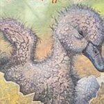 Το ασχημόπαπο 978-960-16-2633-8