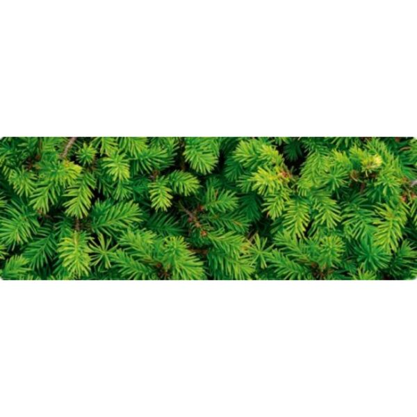 ΧΑΡΤΟΝΙ URSUS 50x68/300gr ΕΛΑΤΟ (187127263)