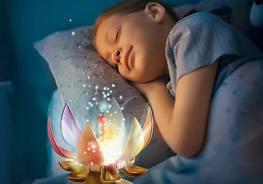 PLAYMOBIL 71359 Παλάτι του Ουράνιου Τόξου - Image 5