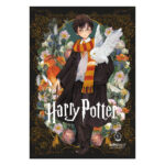 ΤΕΤΡΑΔΙΟ ΚΑΡΦΙΤΣΑ HARRY POTTER 7141