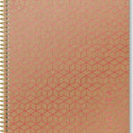 Logigraf Natural Σπιράλ Τετράδιο Ριγέ Α4 120 Φύλλων 4 Θεμάτων 01924