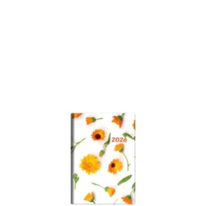 Theofylaktos Ημερολόγιο Maricold S 70599.002